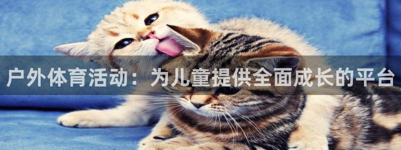 betway最新地址：户外体育活动：为儿童提供全面成长的平台