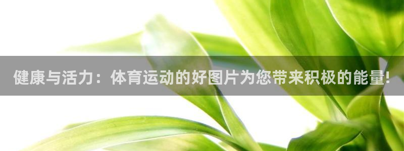 betwaybetmalawa：健康与活力：体育运动的好图片为您带来积极的能量!