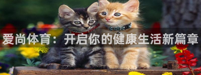 betway体育平台：爱尚体育：开启你的健康生活新篇章